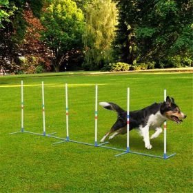 Dog Outdoor Exercise Training Set ( Amazon Shipping)(Prohibited by WalMart) (default: default title)